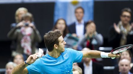 Juan Martin Del Potro a câștigat primul turneu după 10 luni de pauză! L-a învins pe Llodra, în finala de la Marseille!