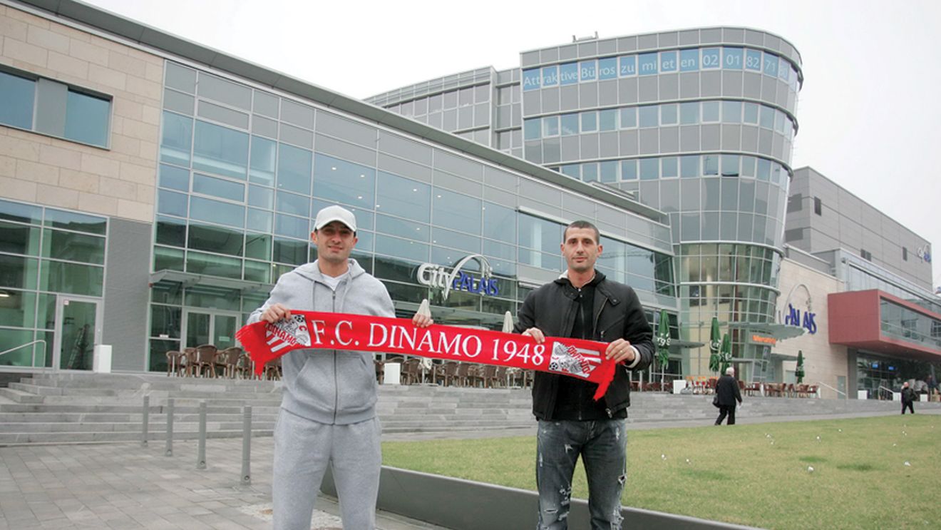 Dogi germani