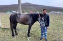 Cătălin Moroșanu despre viața lui Sergiu căruia i-a strâns bani de casă după ce și-a dus soția la spital călare pe cal! „Nu-l învinuiesc pe el, mulțumesc românilor simpli” | VIDEO EXCLUSIV