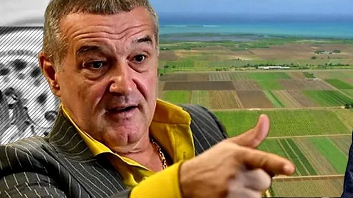 Apare cartierul Gigi Becali. Dezvăluiri fabuloase despre proiectul imobiliar revoluționar: „Bulevard de 21 de metri lățime. Singurul cartier din București cu 8 ieșiri”