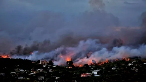 PAOK-ul lui Răzvan Lucescu și Olympiacos, donații pentru victimele incendiilor din Attica