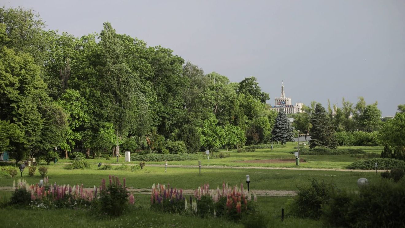 Ce a descoperit în București portughezul de 51 de ani, care a trăit înainte în Ungaria: „Parcul Herăstrău este…”