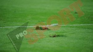 Iarba bună se crește cu aparate!** Becali a aranjat ca Steaua să joace pe National Arena până în luna decembrie