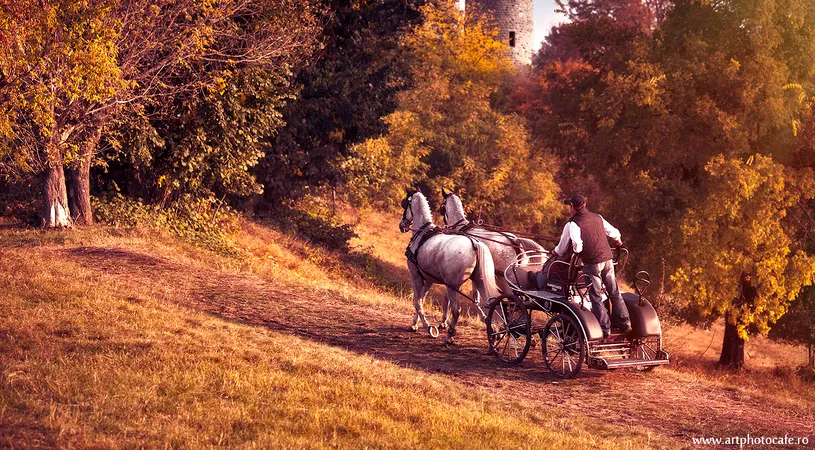 Karpatia Horse Trials a pus Domeniul Cantacuzino Florești pe harta celor mai importante evenimente ecvestre