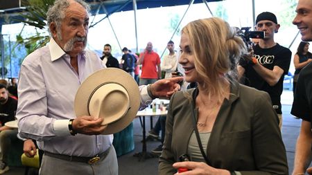 Ion Țiriac a băgat milioane de euro în cadoul pentru Nadia Comăneci. România i-a pus bețe în roate: „Plătesc și amenzile”