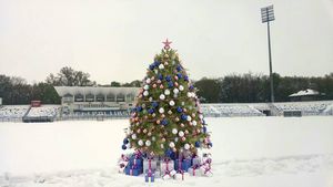 IMAGINEA ZILEI vine de pe un stadion din Liga 1. Bradul de Crăciun a ajuns în mijlocul terenului :)