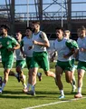 Câțiva reveniți din împrumuturi, noutățile de la reunirea Sepsi OSK. Covăsnenii și-au pierdut în favoarea FC Voluntari unul dintre lideri
