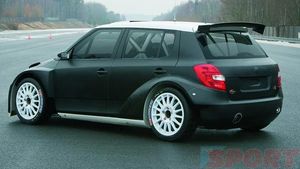 Skoda vrea să dea lovitura în cursele FIA