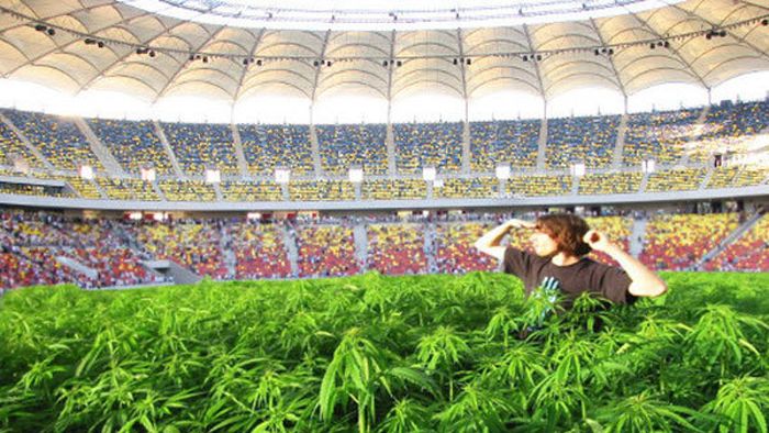 FOTO AMUZANT** IATĂ‚ câteva propuneri pentru gazonul de pe National Arena! ALEGE modelul olandez, vienez, taliban sau italian! :)
