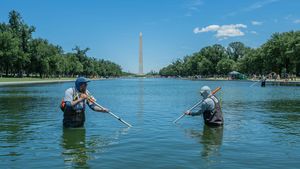 Marele campion mondial a fost arestat pentru că a atins algele din bazinul Lincoln Memorial