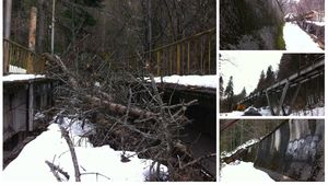 SPECIAL - Paragină olimpică: așa arată pârtia de la Sinaia. Explicația oficială: "S-a mișcat muntele, trebuie reconstruită"