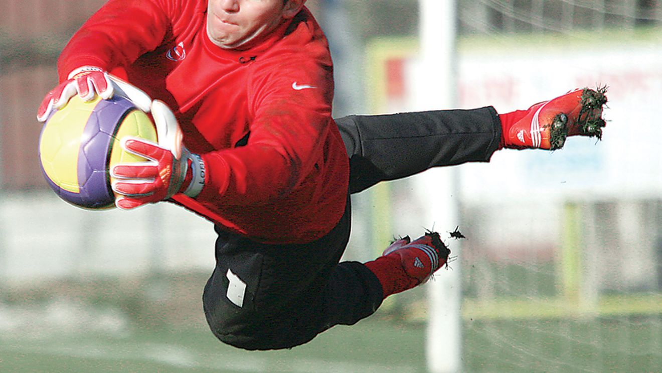 Au rupt "Pisica" în două