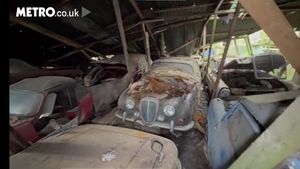 Hambarul din pădure care ascunde cea mai surprinzătoare comoară descoperită în ultimii ani. A dat din greșeală peste 50 de mașini epocă, abandonate în pustietate