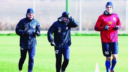 Vestea asta i-a îngrozit! Geraldo și Brandan au început să se plângă, Ilie a luat măsuri!** Dușmanul care poate prelungi un coșmar de 25 de luni