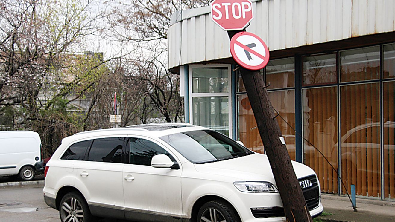 Bâlbă a „parcat" în stâlp!