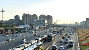 Rapizi pe teren, rapizi și economic