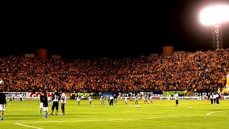 Niciodată în Liga 1 nu vei vedea așa ceva!** Fanii lui Tigres pot intra în Cartea Recordurilor! 22.000 au mers 800 de km alături de echipă