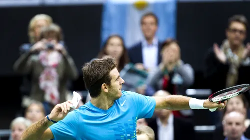 Juan Martin Del Potro a câștigat primul turneu după 10 luni de pauză! L-a învins pe Llodra, în finala de la Marseille!