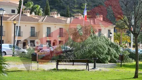 Steliștii au primit azi la antrenament cel mai frumos cadou din partea lui Reghecampf. FOTO Cum au fost răsplătiți jucătorii după primele două meciuri amicale