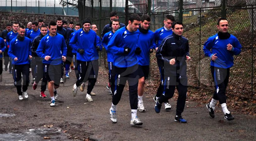 Semne bune anul are!