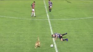 Merita cartonaș pentru atac din spate? :) O partidă din Argentina a fost întreruptă după ce un câine a intrat pe teren și a "faultat" un jucător | VIDEO 