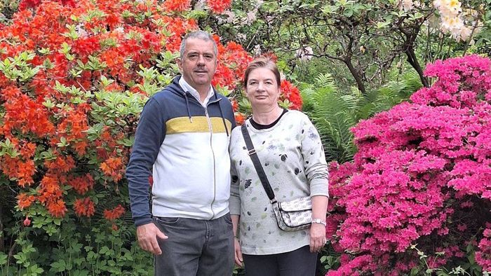Un român cunoscut a ajuns să fie șofer pe camion în Germania. Acum, a intrat în direct la emisiune, cu un mesaj pentru nevastă: „Vreau să-mi salvez căsnicia, vreau să mă audă toată România”